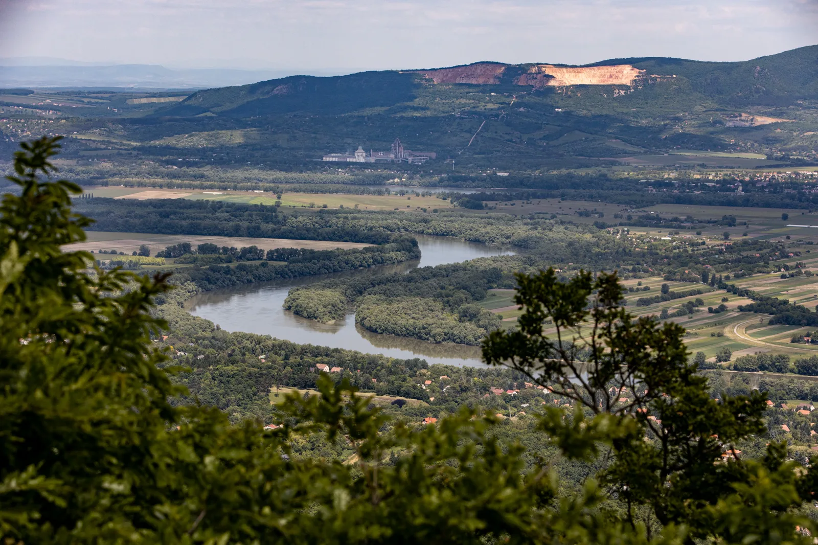 danube bend — royal forest walk